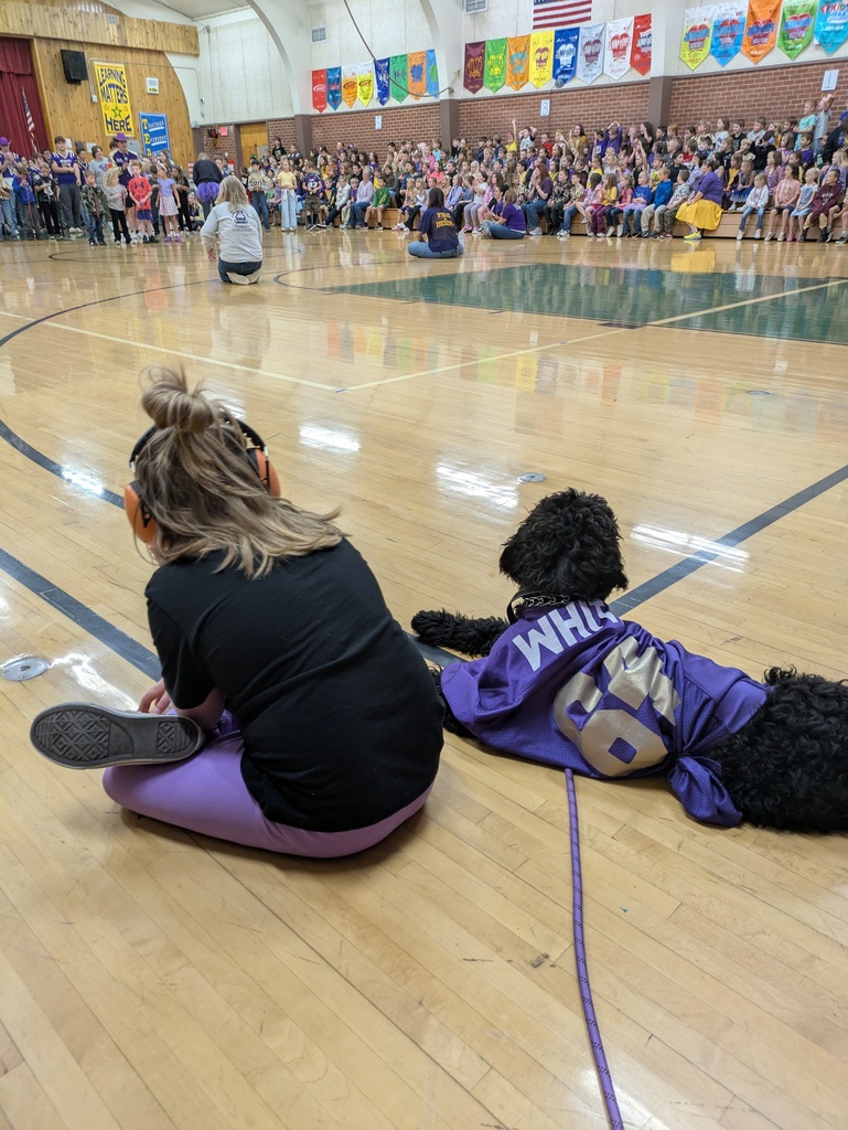 Student sitting with therapy dog at assembly