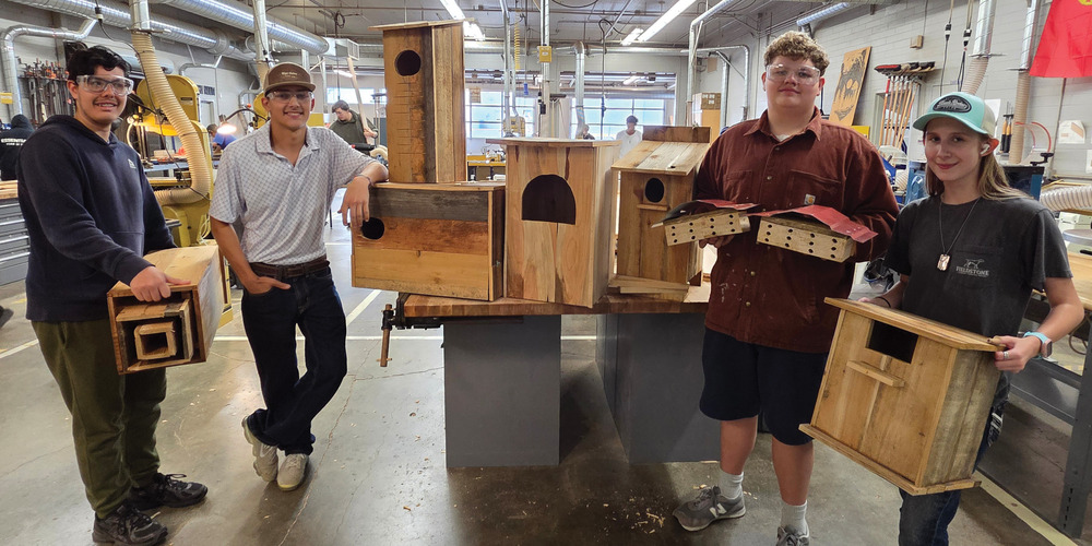 students with wooden animal houses