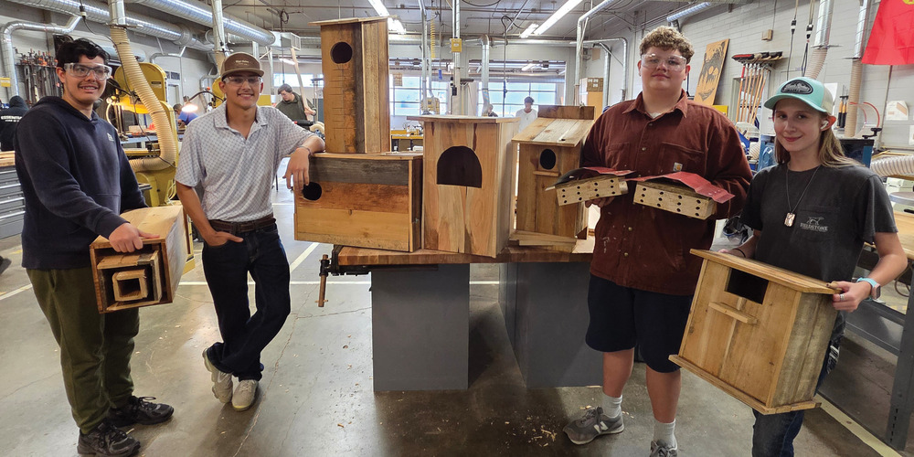 students with wooden animal houses