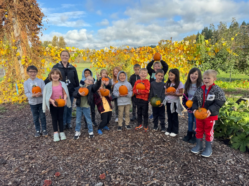 1st Grade Pumpkins