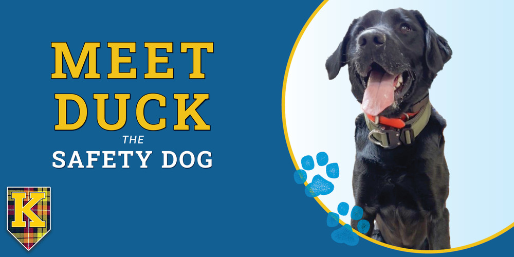 meet duck the safety dog