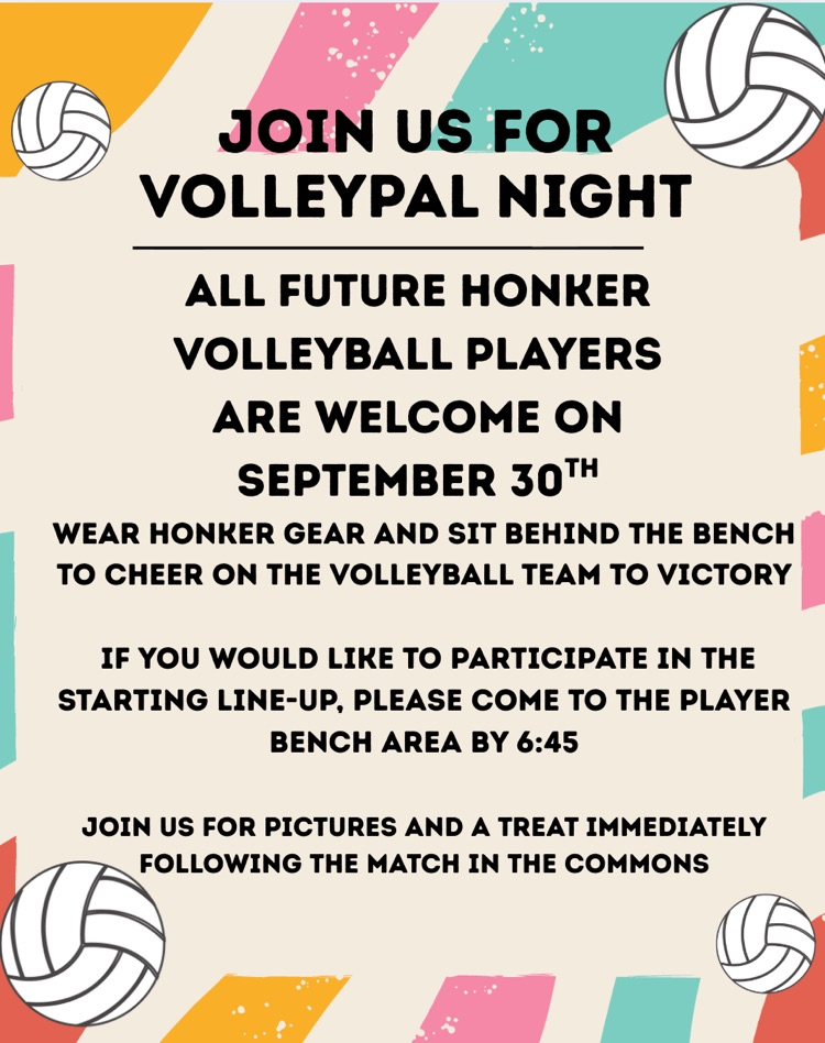 volleyball pals