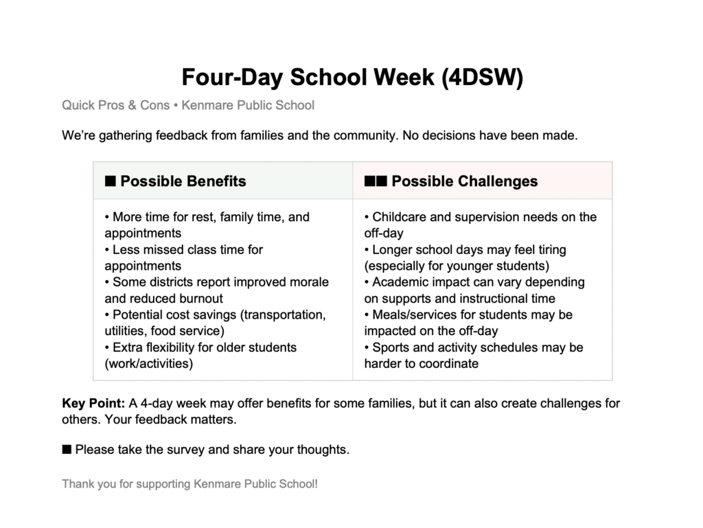 4DSW Survey Pros and Cons