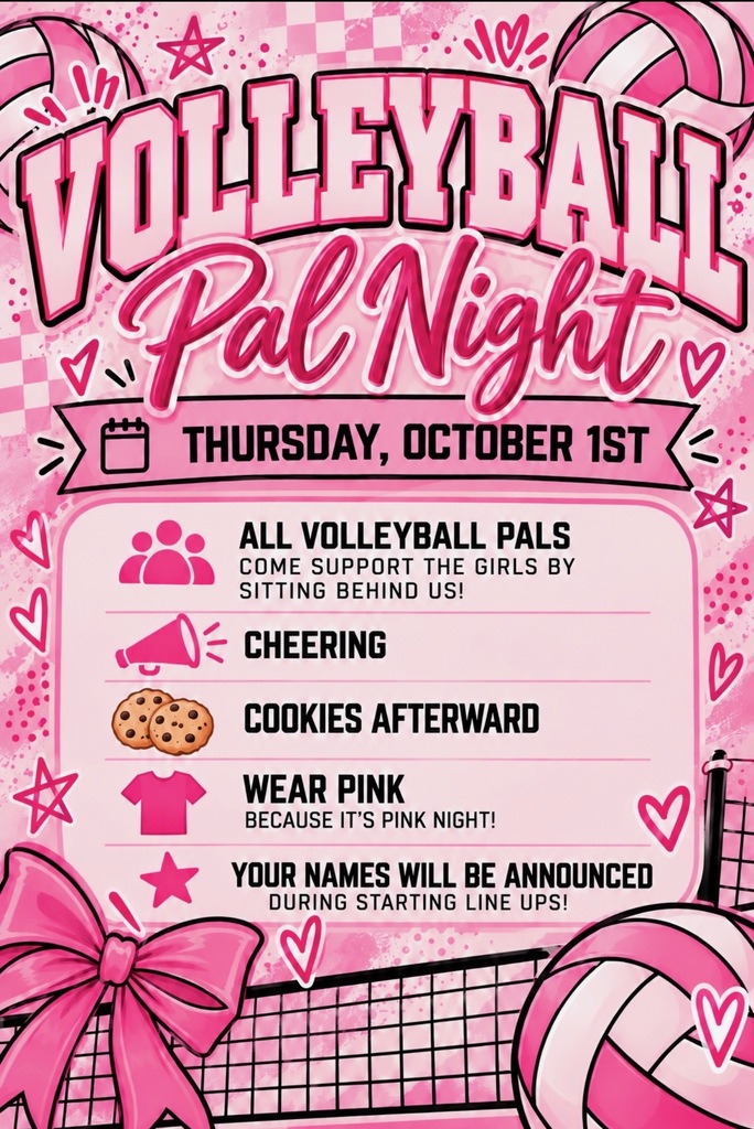 VolleyPal Night