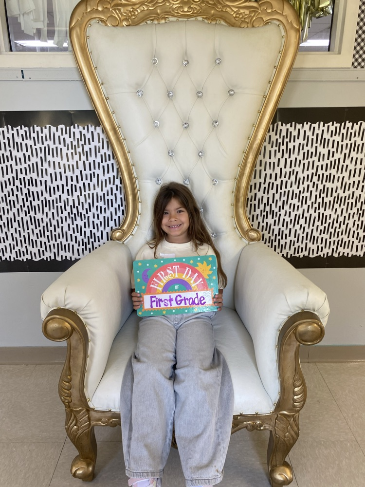 we loved this chair