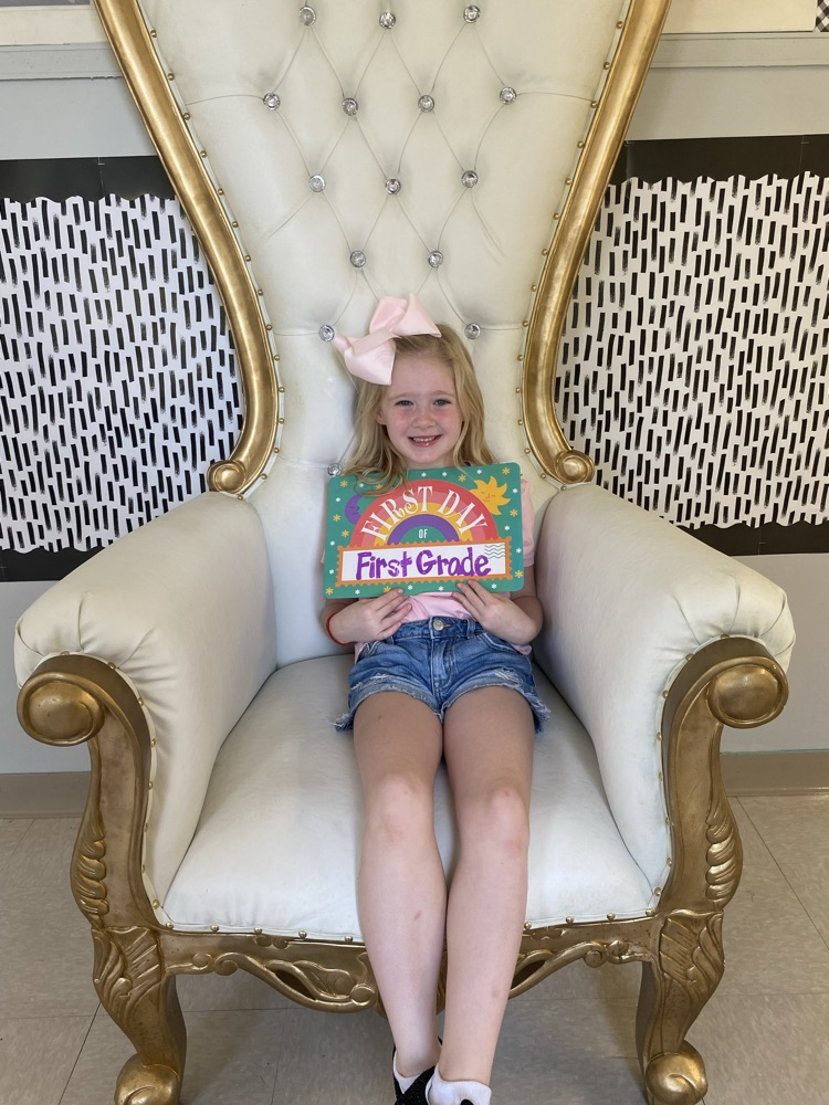 we loved this chair