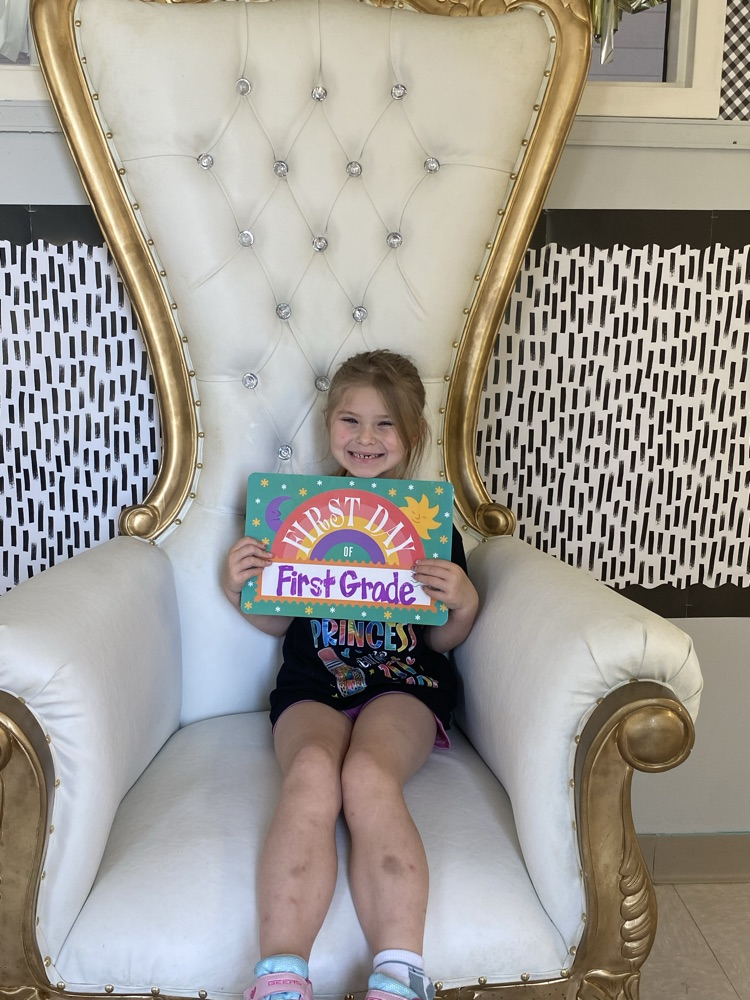 we loved this chair