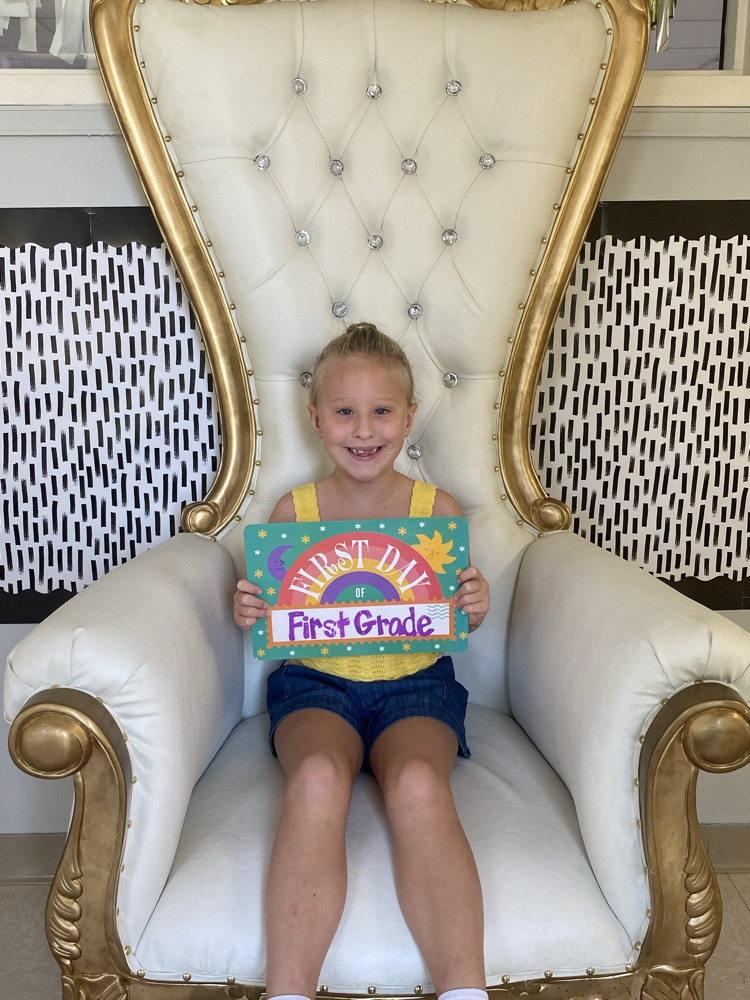 we loved this chair