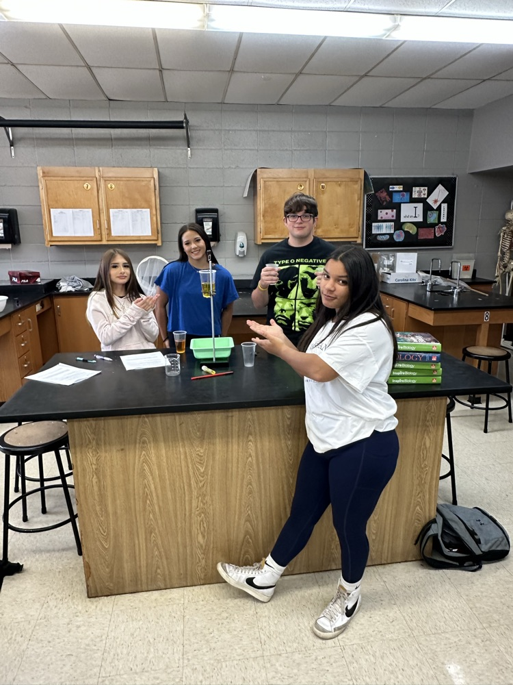 Biology “Homer-O-Stasis” Lab