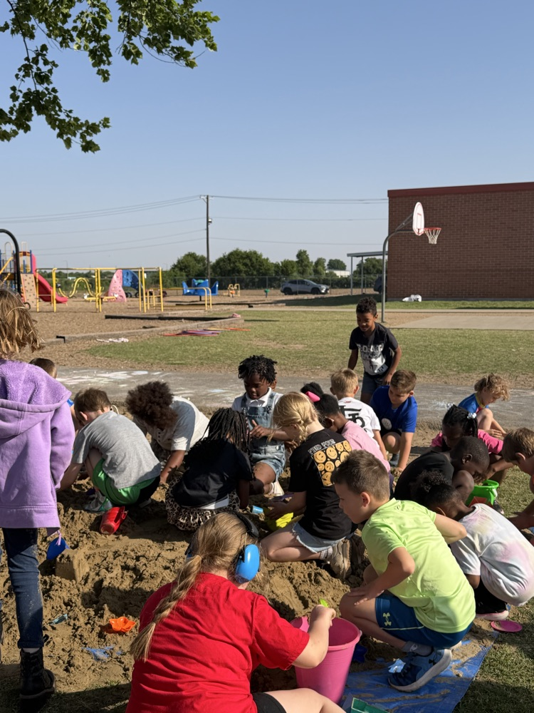 activity day