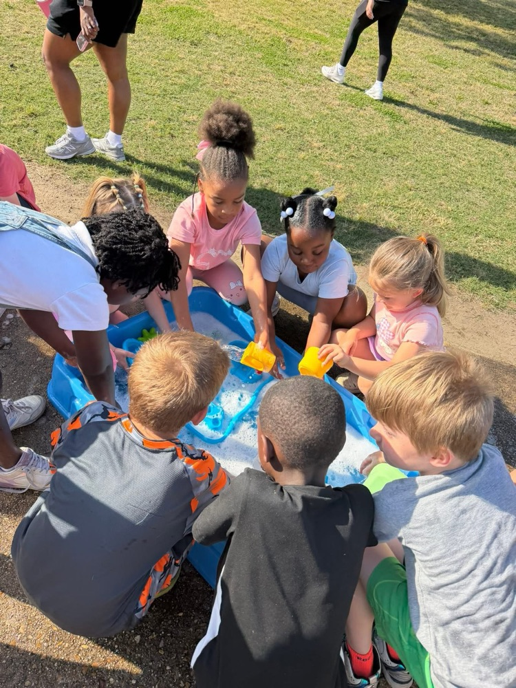 activity day