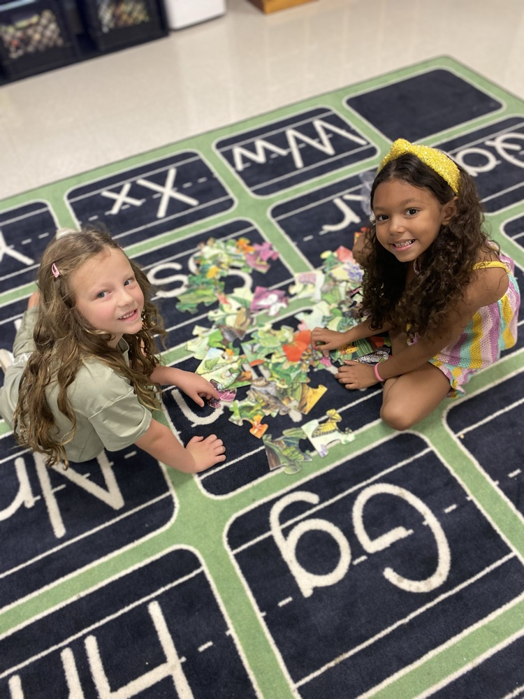 puzzles