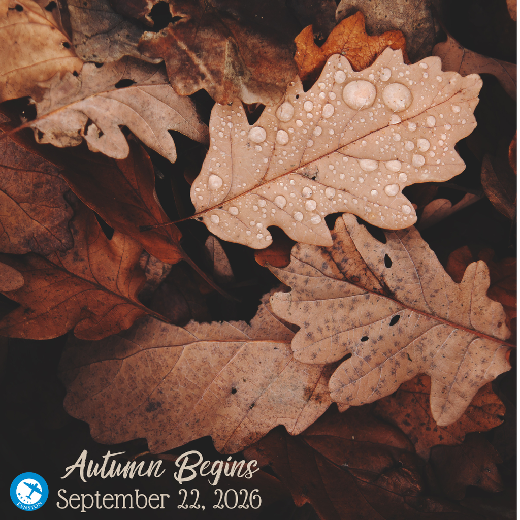 Autumn Begins September 22, 2026