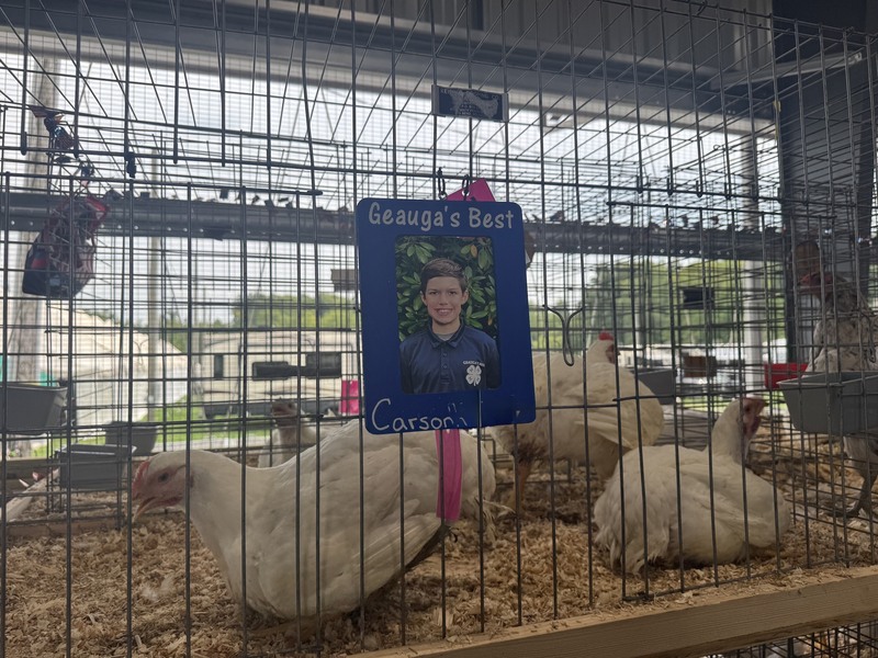 Geauga County Fair