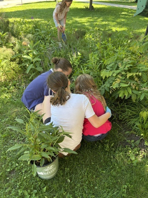 garden