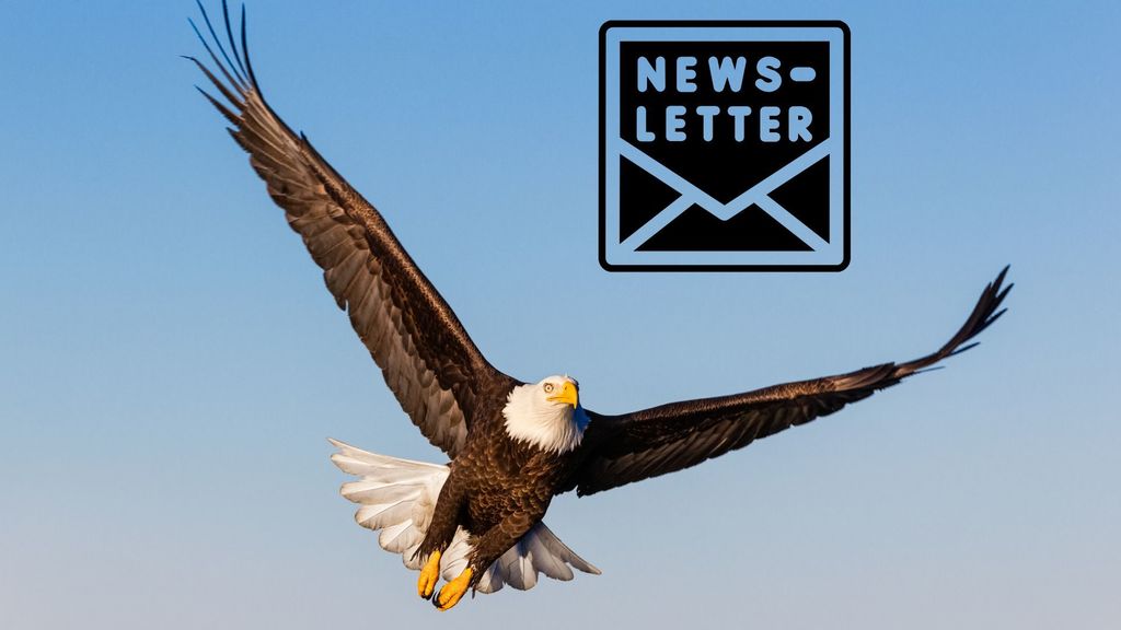 Newsletter