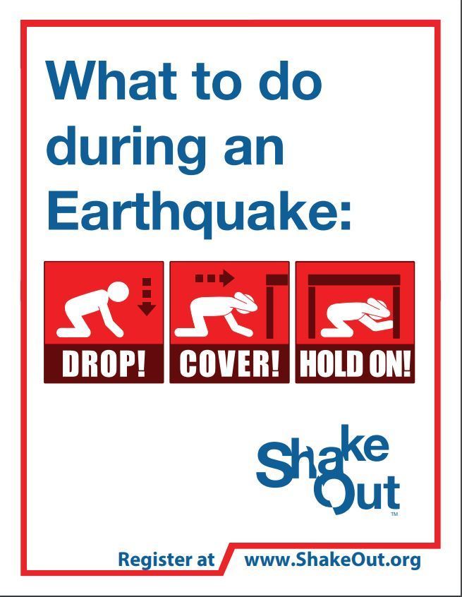 shake out
