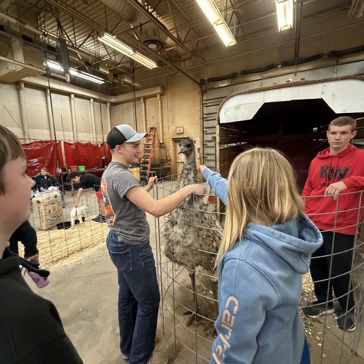 FFA Petting Zoo