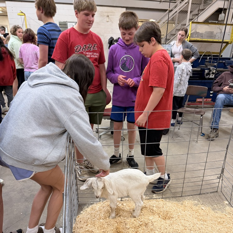 FFA Petting Zoo