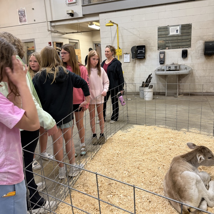 FFA Petting Zoo
