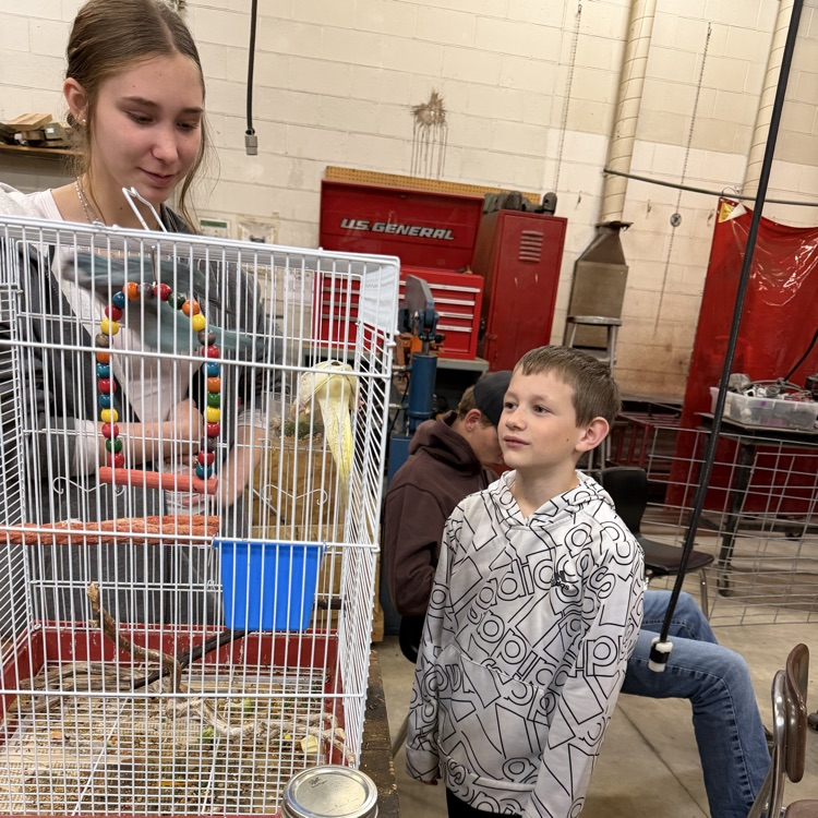 FFA Petting Zoo