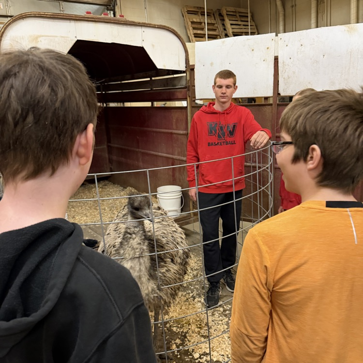 FFA Petting Zoo