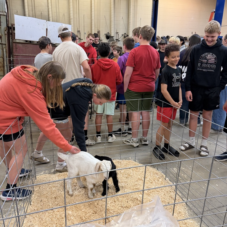 FFA Petting Zoo