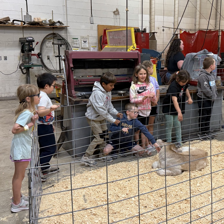 FFA Petting Zoo