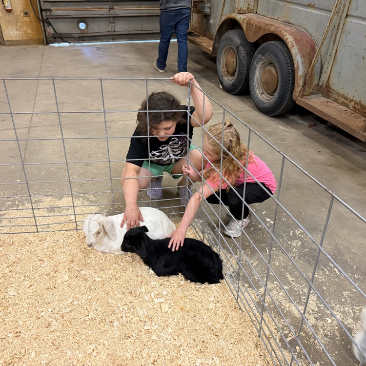FFA Petting Zoo