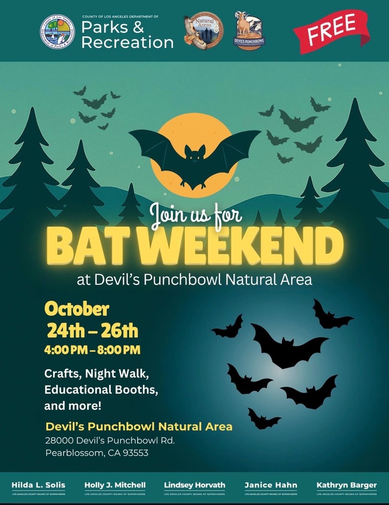 Bat weekend