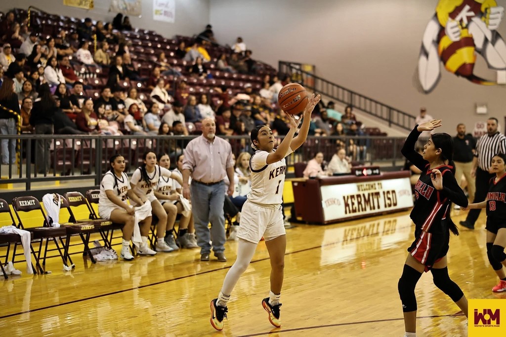 Bi-District Playoff Game Ticket Information