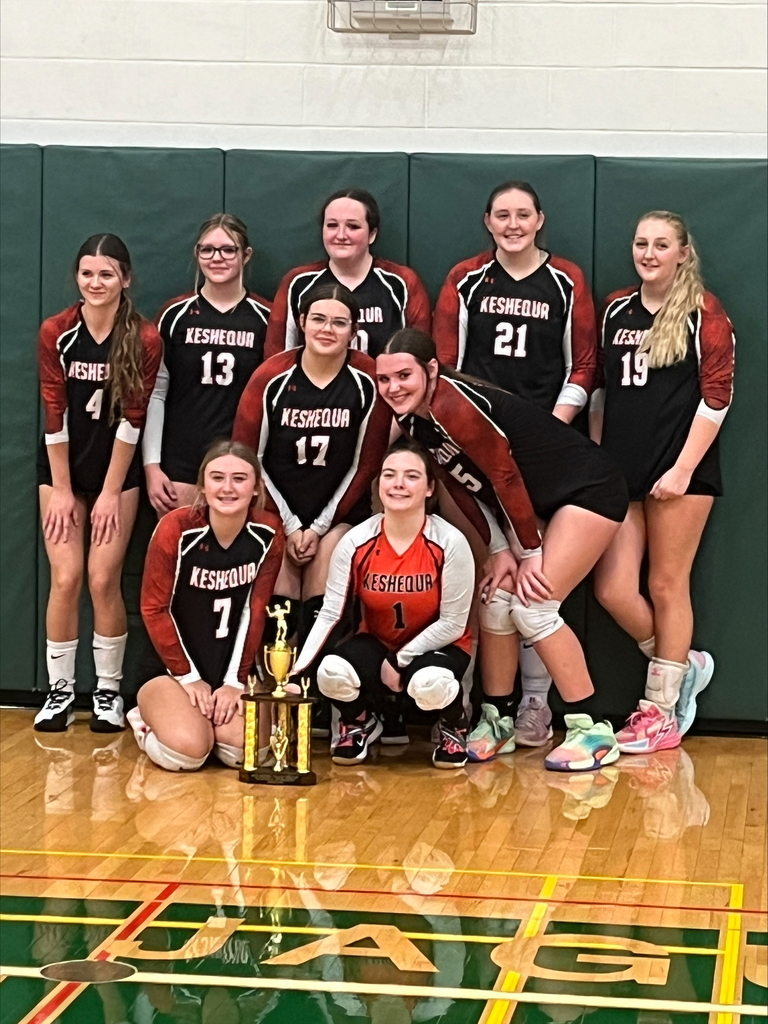 Volleyball