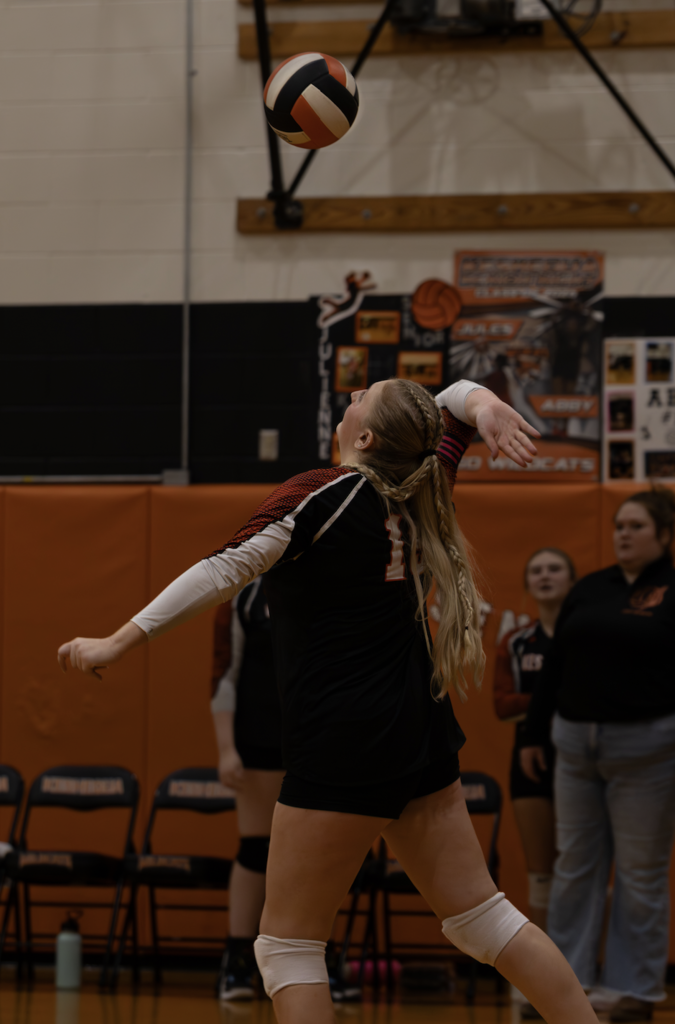 Volleyball Senior Night