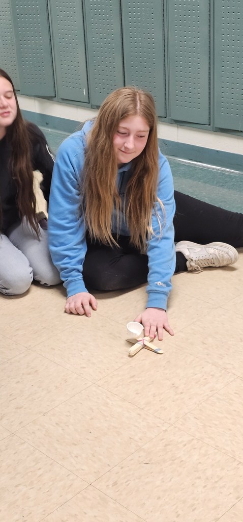 Miss. Neu's Class Catapults