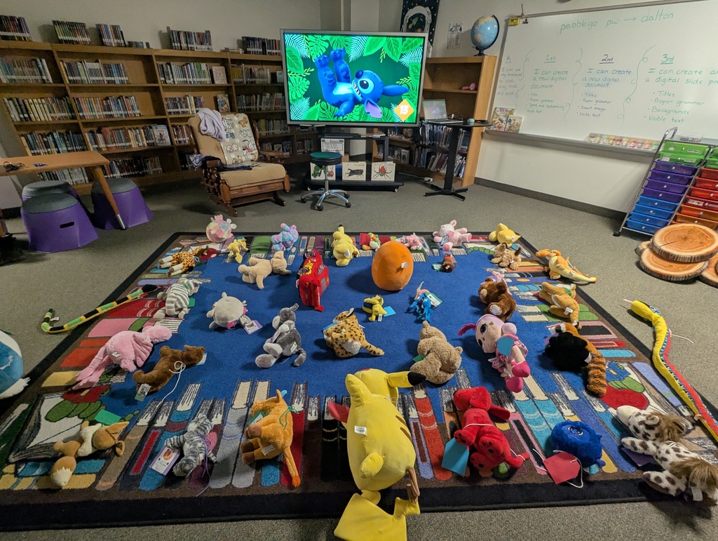 Stuffie Sleepover