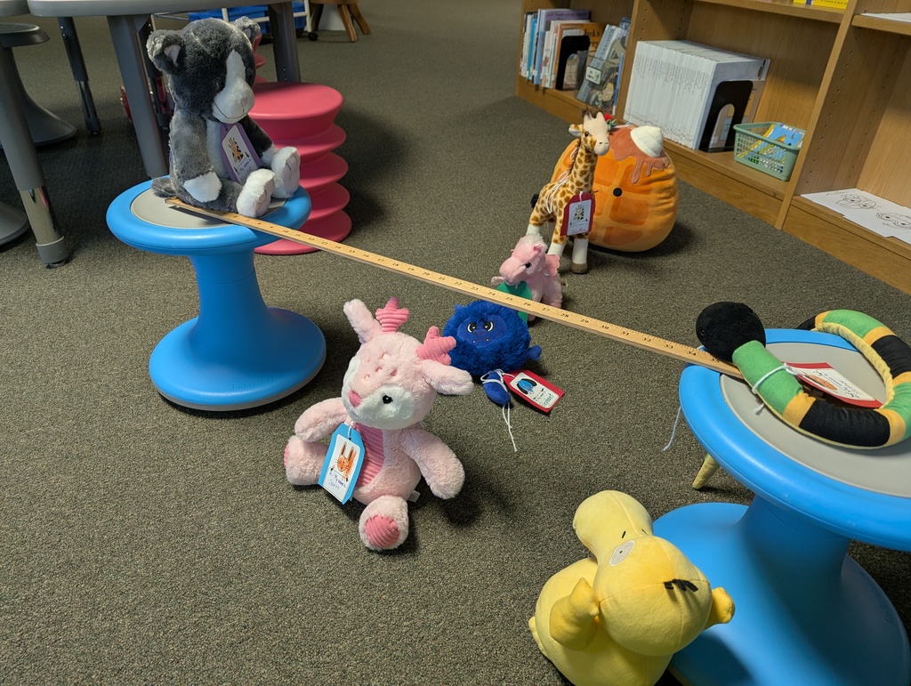 Stuffie Sleepover