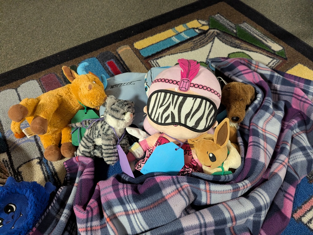 Stuffie Sleepover