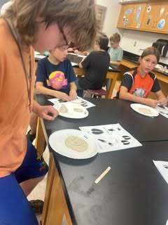 Identifying animals with tracks