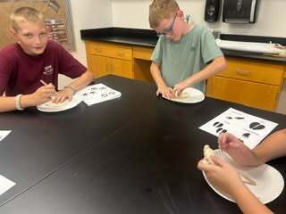 Identifying animals with tracks