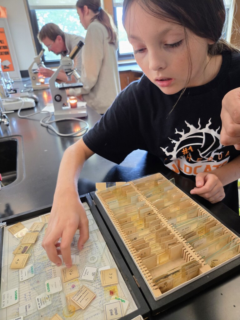 Students looking into a microscope
