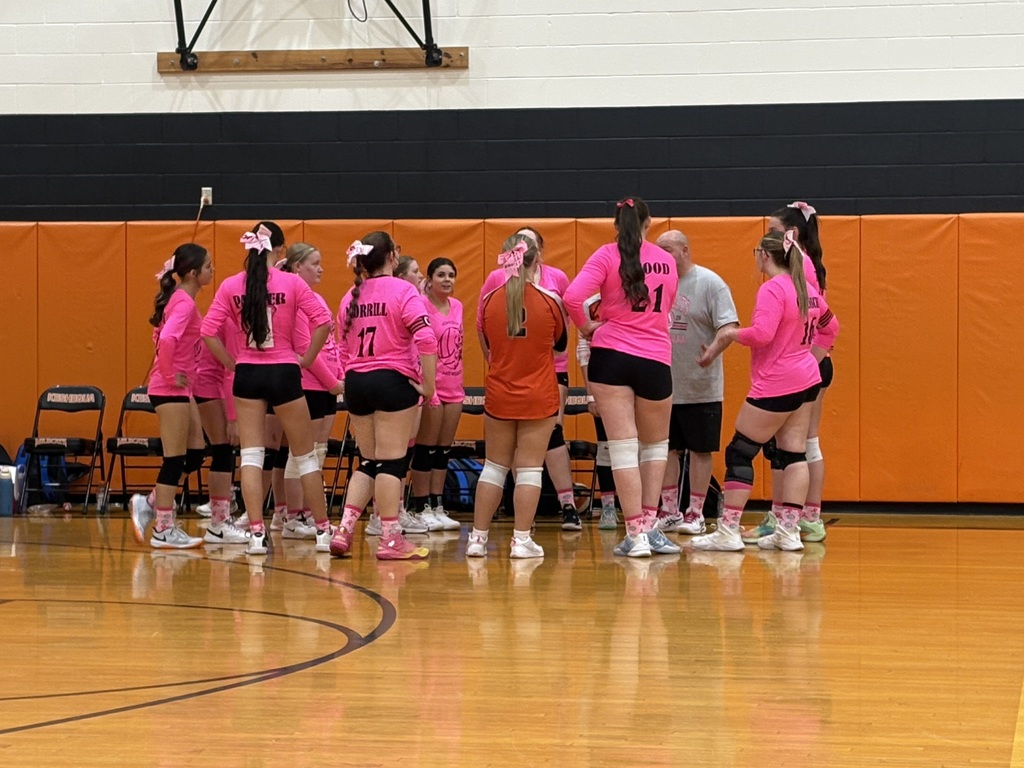 Volleyball Pink Game