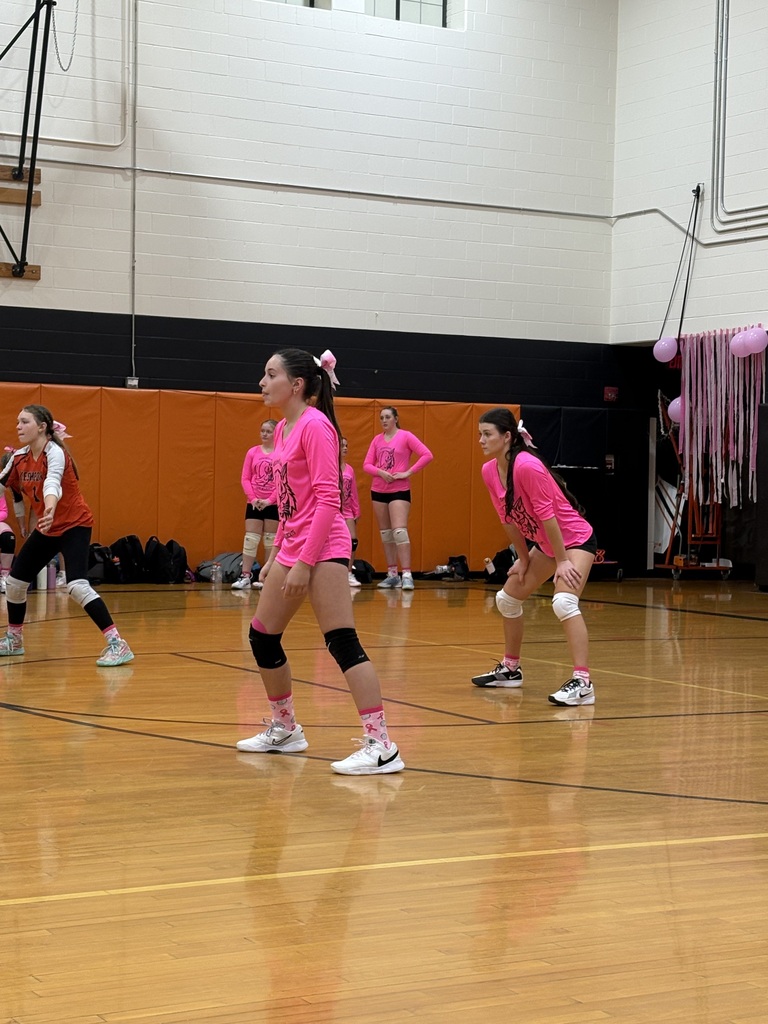 Volleyball Pink Game