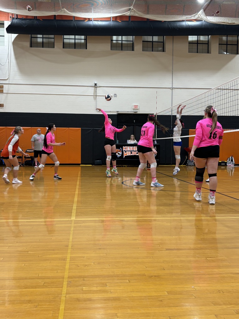 Volleyball Pink Game