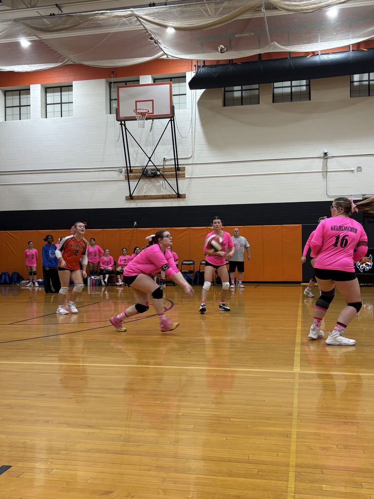 Volleyball Pink Game