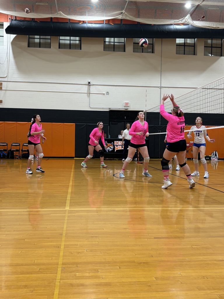 Volleyball Pink Game