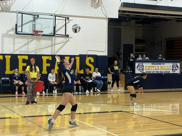 Volleyball