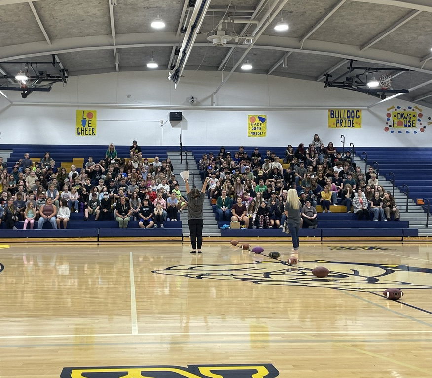 MS Assembly 1