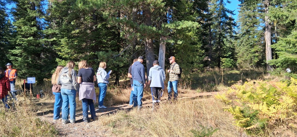 Forestry Competition