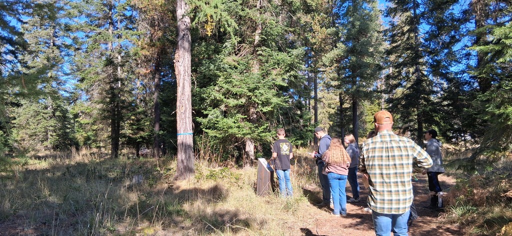 Forestry Competition