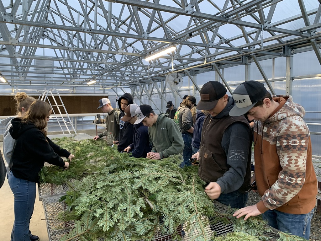 FFA Wreath Making